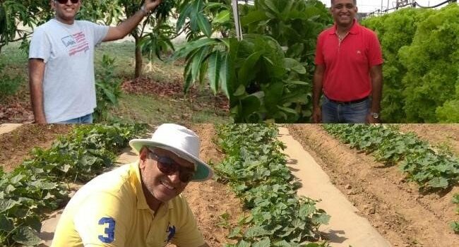 Cultivating Sustainability: Raj-Shree Farms and Its Synergy with Mangofolks