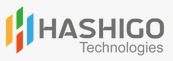 Hashigo Technologies: Elevating Your Digital World