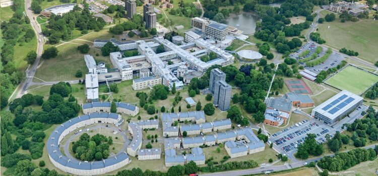 University of Essex hosts first-ever Graduation Day ceremony in India