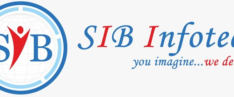 SIB Infotech Earns Google Premier Partner Status, Elevating Digital Marketing Solutions 