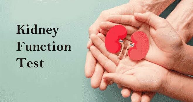 How to Know if Your Kidneys are Functioning Well?