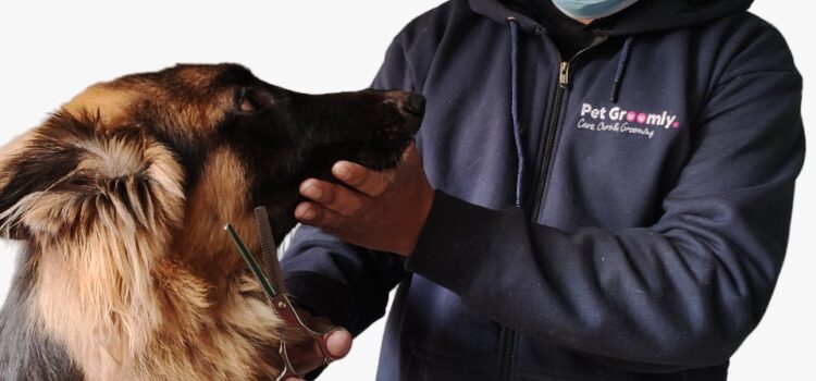 Pet Groomly – Best at-home Grooming Services at an affordable cost for every pet parent
