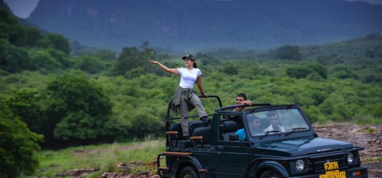 Explore the Wilderness of Ranthambore National Park: Your Ultimate Safari Adventure Awaits