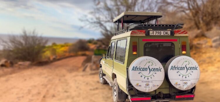 African Scenic Safaris – Tailor-Made Experiences in Tanzania Safari & Kilimanjaro Climb