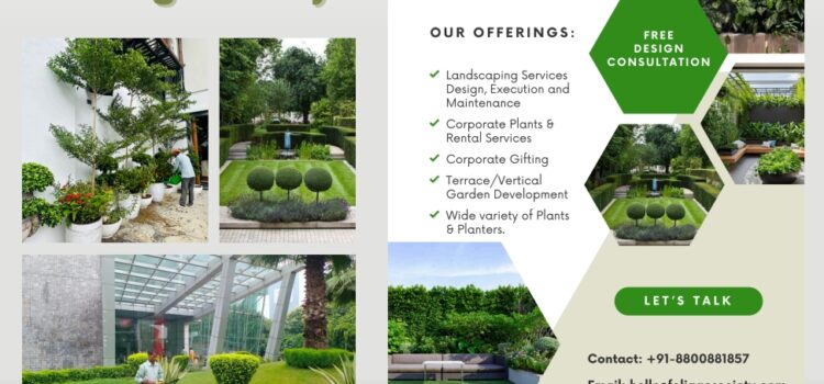 Elevate Your Outdoors with Foliage Society’s Expert Maintenance Services