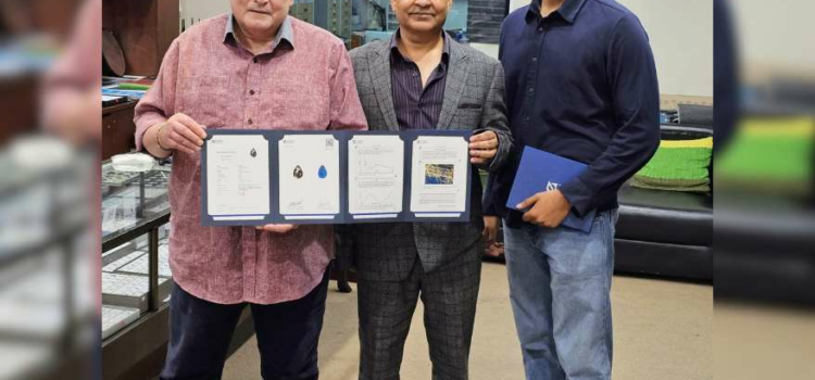 Gold Sheen Sapphire: Attaining the Title of Second Rarest Gemstone