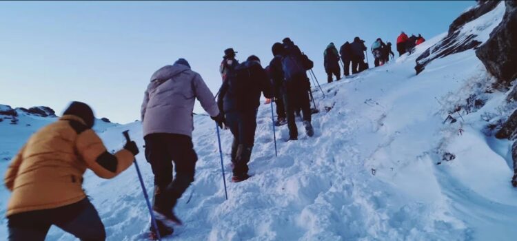 Triund Trek Unveils New Trekking Packages for 2024—Explore the Himalayas with Exclusive Triund and Snowline Treks