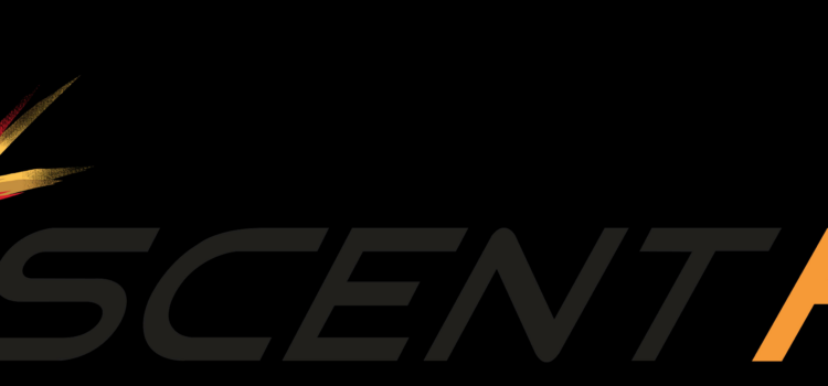 Ascent HR Technologies Pvt Ltd Named a Leader in 2024 NelsonHall Payroll Services Evaluation