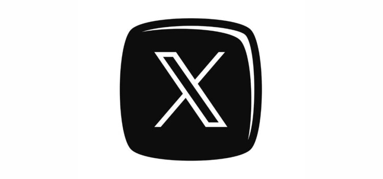 Twitter Video Downloader Online Tool for Downloading Videos from X