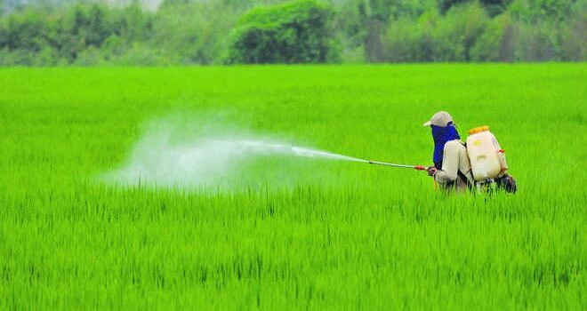 Super Crop Safe Limited Expands Portfolio with 46 New Molecule Registrations, Plans for Further Growth in Agrochemical Sector