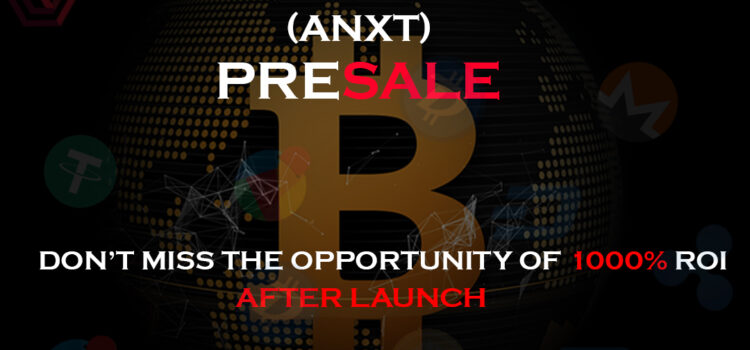 Unlocking Financial Potential with Ameyaa NXT LLC