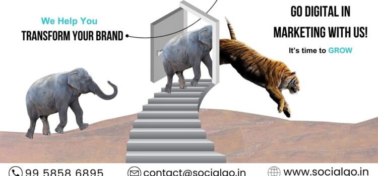 Best Website Designing Company in Delhi