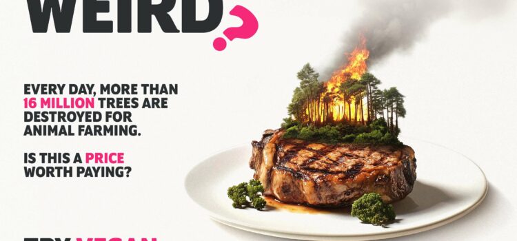 Veganuary 2025 campaign launched- questions the strange reality of food ‘norms’