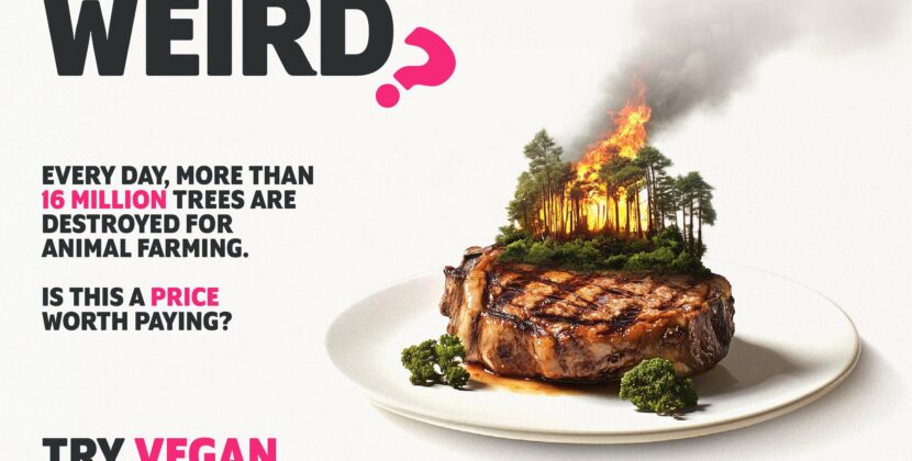 Veganuary 2025 campaign launched- questions the strange reality of food ‘norms’