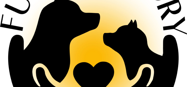 Fur Ball Story’s Bollywood- Inspired Approach to Pet Care | From Lyrics to Labels