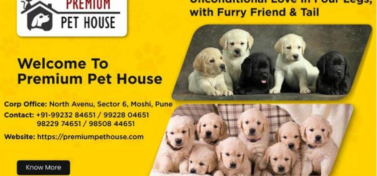 Popular Dog Breeders Premium Pet House And BestForPets Part Ways