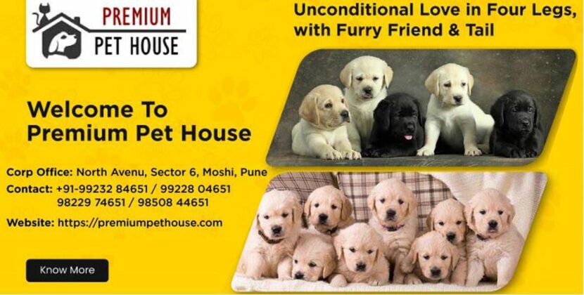 Popular Dog Breeders Premium Pet House And BestForPets Part Ways