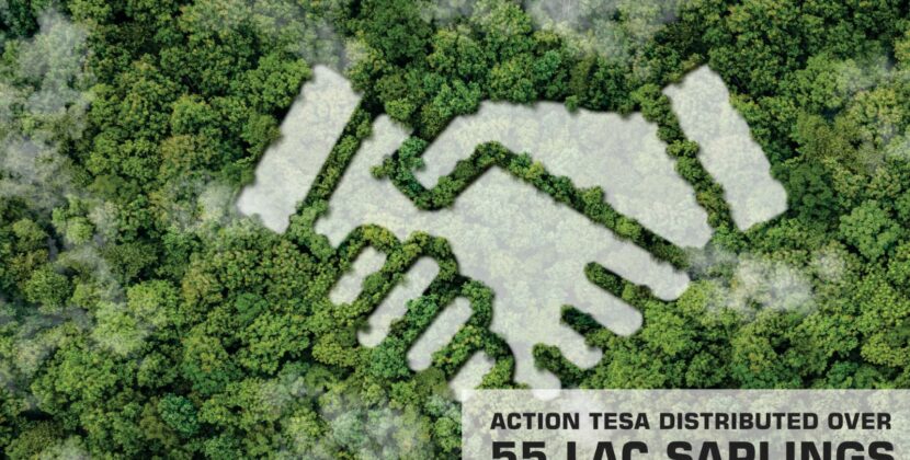 Action TESA Championing a Nature-Friendly Revolution to Enhance Wood Reserves