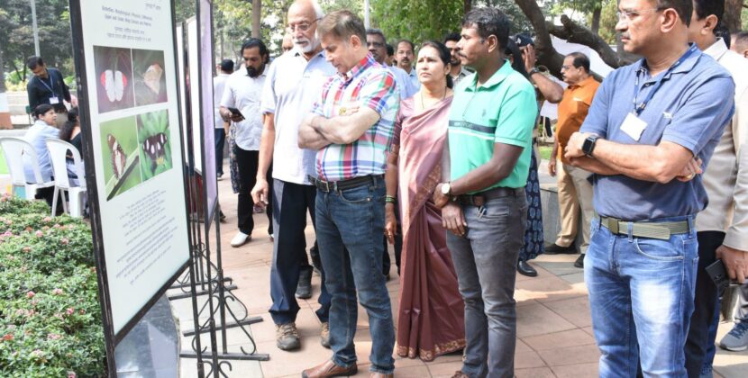 Where Wings Whisper Hope: Mumbai Unites for Butterfly Conservation