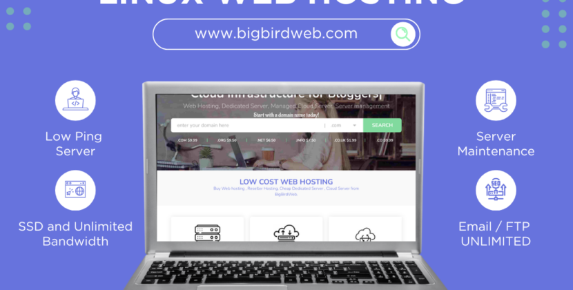 Bigbirdweb: Celebrating Over a Decade of Global Excellence in Managed Web Hosting