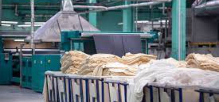 Anjani Synthetics Reports Resilient Performance: ₹254.24 Cr Turnover, ₹7.28 Cr Gross Profit, ₹2.89 EPS, ₹168 Cr Total Assets