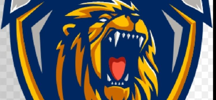 Introducing the Mumbai Boys Ready to Roar for Chennai Singams in the Indian Street Premier League