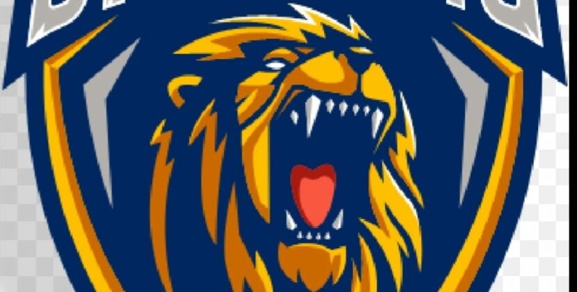 Introducing the Mumbai Boys Ready to Roar for Chennai Singams in the Indian Street Premier League