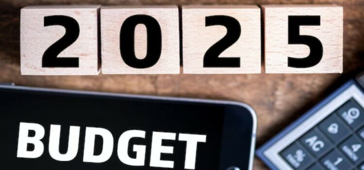 India’s Pre-Union Budget Expectations: Industry Leaders Weigh In