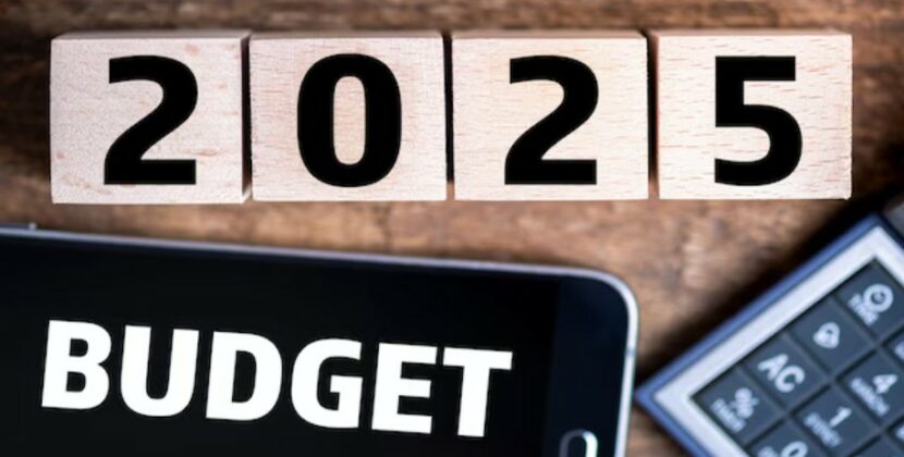 India’s Pre-Union Budget Expectations: Industry Leaders Weigh In