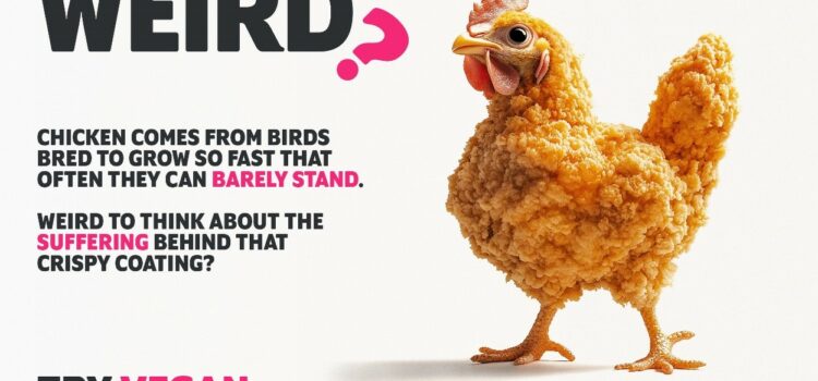 What’s weird about our food system?