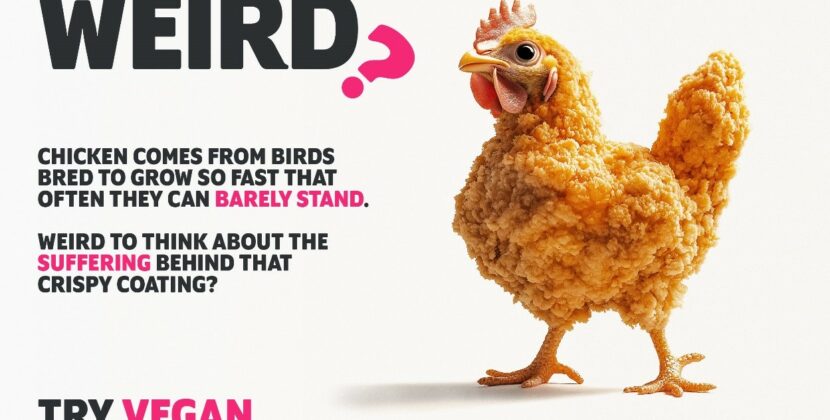 What’s weird about our food system?