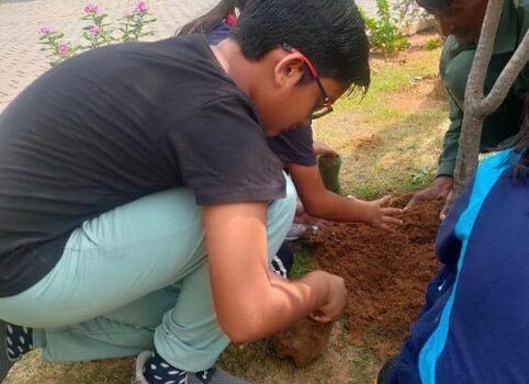 VIBGYOR High, Gurugram: Pioneering Sustainability for a Greener Tomorrow