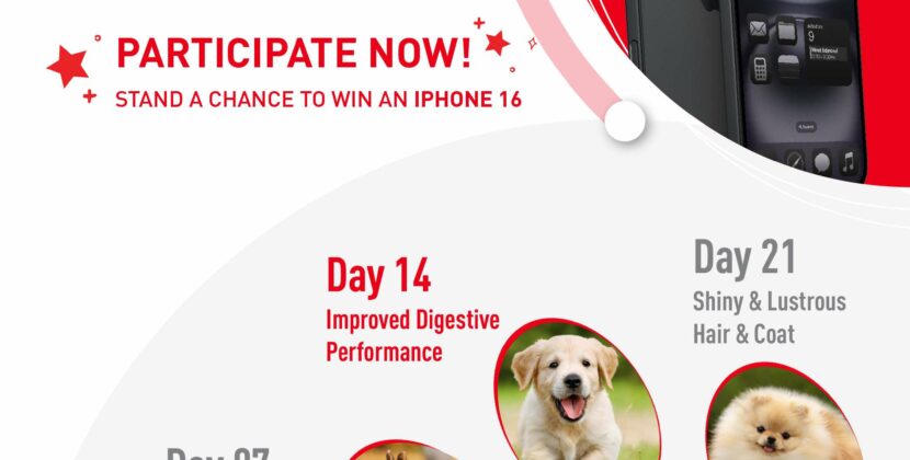 Diana Penty teams up with Royal Canin for #TheBetterBowlChallenge