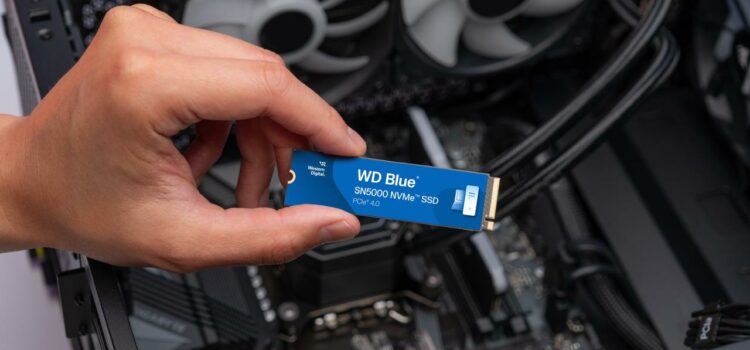 Western Digital introduces WD Blue® SN5000 NVMe™ SSD for content creators and professionals for effective workflow in India