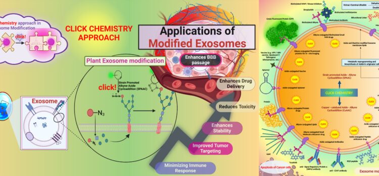An Innovative Approach to Cancer Treatment: Click-Modified Exosomes Pave the Way for Targeted, Personalized Therapy