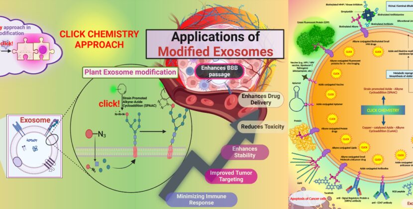 An Innovative Approach to Cancer Treatment: Click-Modified Exosomes Pave the Way for Targeted, Personalized Therapy