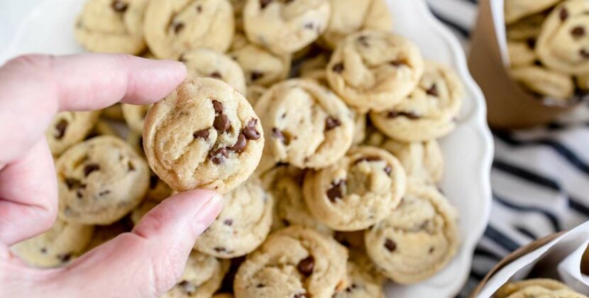Bite Size Biscuits: The Perfect Snack from Cookie Man